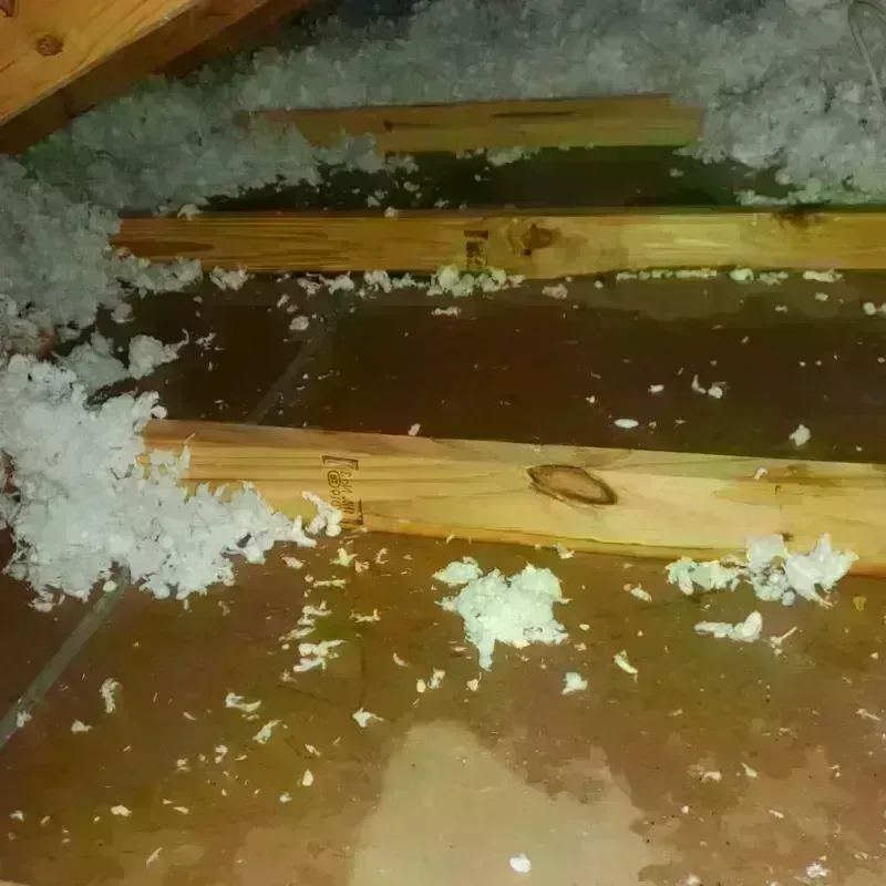 Attic Water Damage in Brooklyn, OH