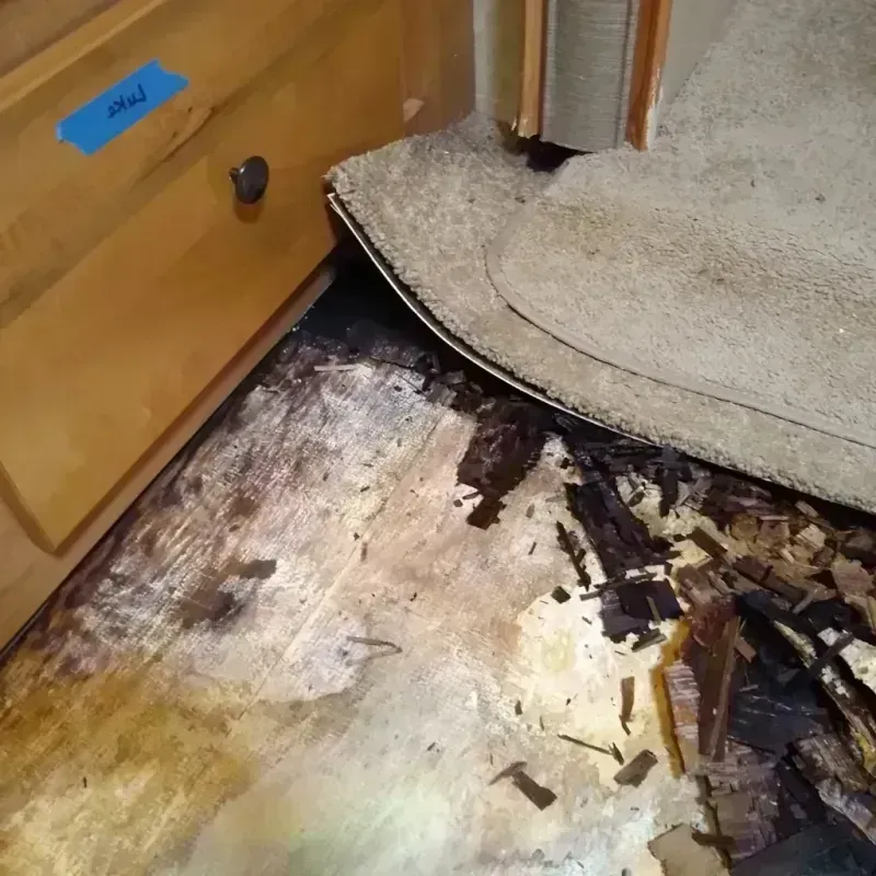 Wood Floor Water Damage in Brooklyn, OH